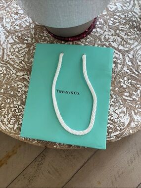 Tiffany & Co. Gift Bag Tote